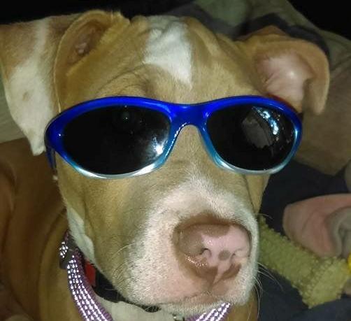Pic of the Litter: Goober